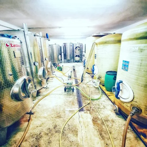 weingut mayr minichhofen 2022 04 14 (2)