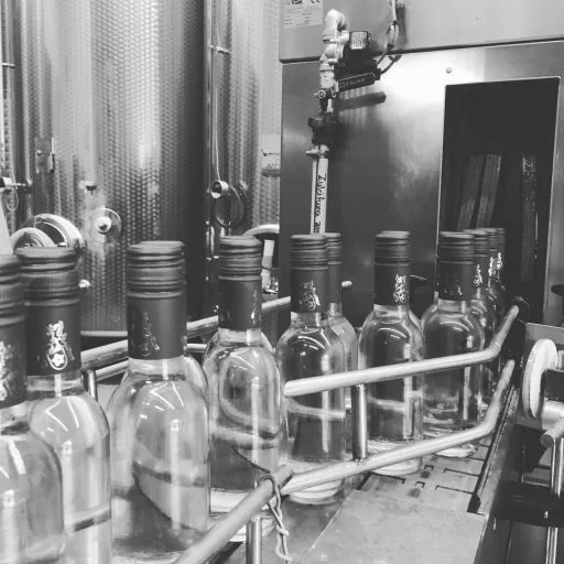 weingut seebrich 2020 08 24 (3)