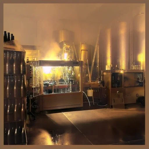 weingut seebrich 2021 09 06 (6)