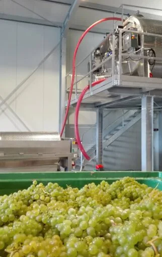 weinhof neubauer 2022 09 19 (3)