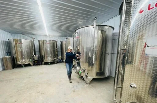 youngblood vineyard 2023 04 07 (3)