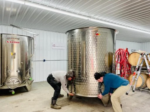 youngblood vineyard 2023 04 07 (9)