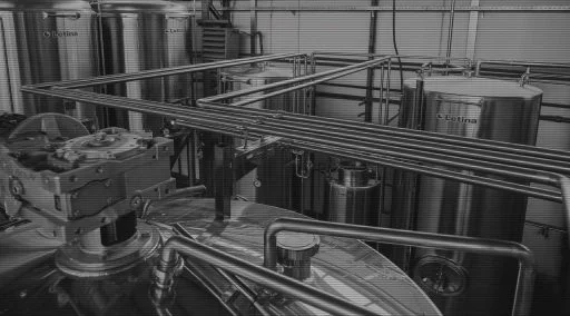 zmajska pivovara 2021 08 3 (13)